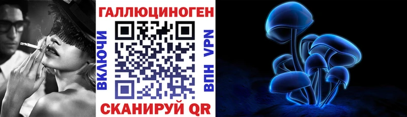 мега ССЫЛКА Торжок Псилоцибиновые грибы мицелий